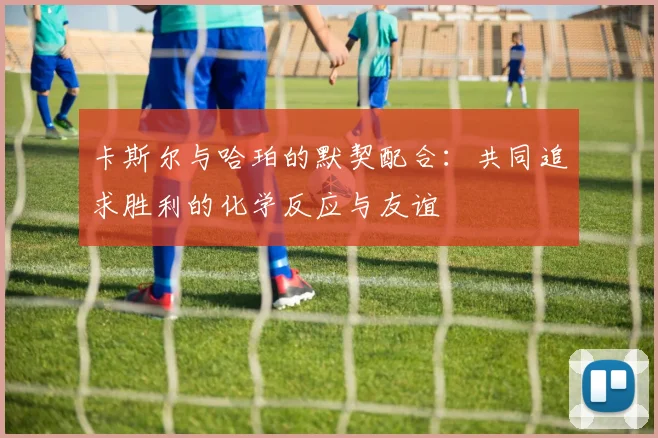 卡斯尔与哈珀的默契配合：共同追求胜利的化学反应与友谊